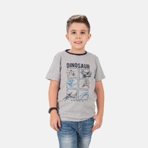 Camiseta Dino Juvenil Menino